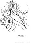 Signes, 18 octobre 2003, encre de Chine sur papier,  29,5 x 21 cm