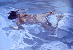 Piscine 1bis, 24 décembre 1983, émail sur papier, 73 x 102 cm